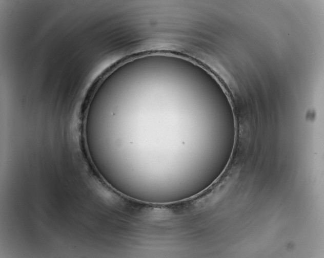 X0000102851119200808251156