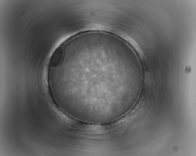 X0000102851120200808251156
