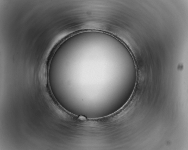 X0000102851123200808251156