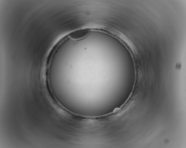 X0000102851124200808251156