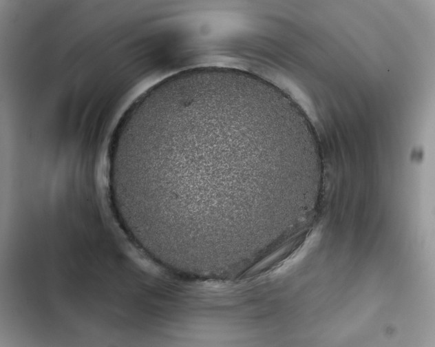 X0000102851125200808251156