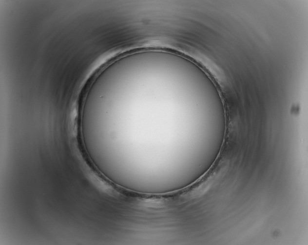 X0000102851126200808251156