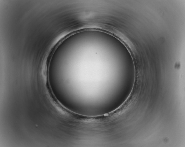 X0000102851127200808251156
