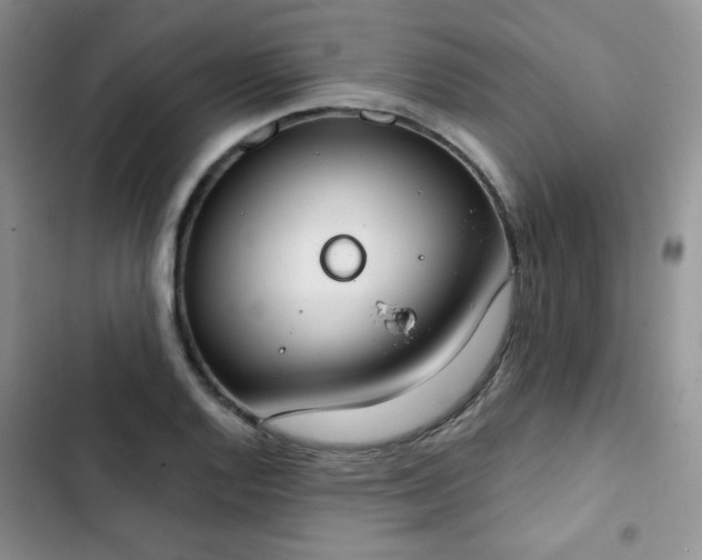 X0000102851128200808251156