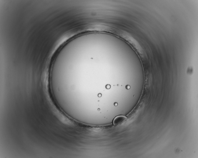 X0000102851130200808251156
