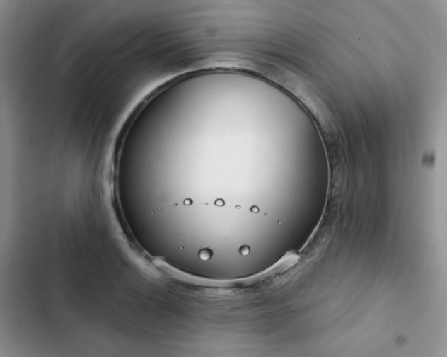 X0000102851132200808251156