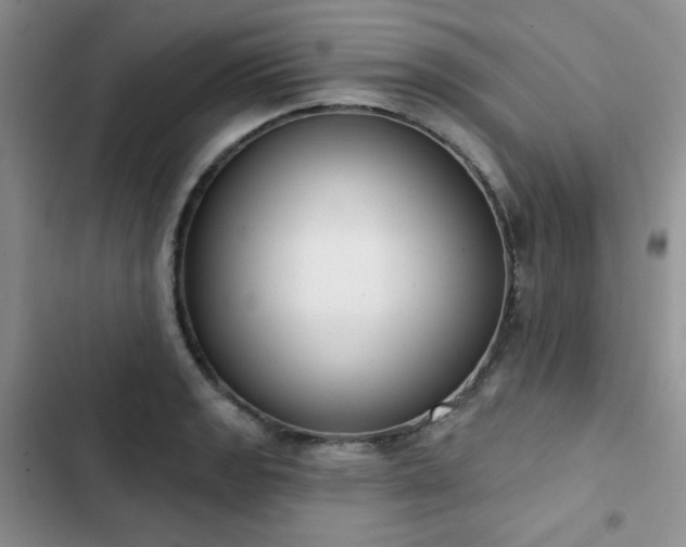 X0000102851133200808251156