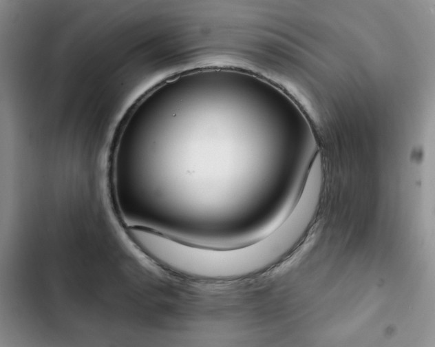 X0000102851134200808251156