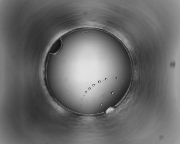 X0000102851136200808251156