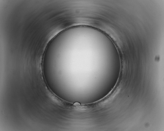 X0000102851137200808251156