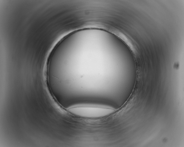 X0000102851140200808251156