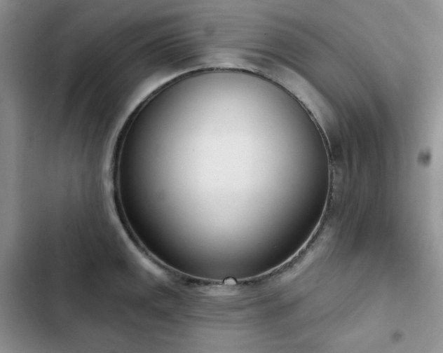 X0000102851141200808251156