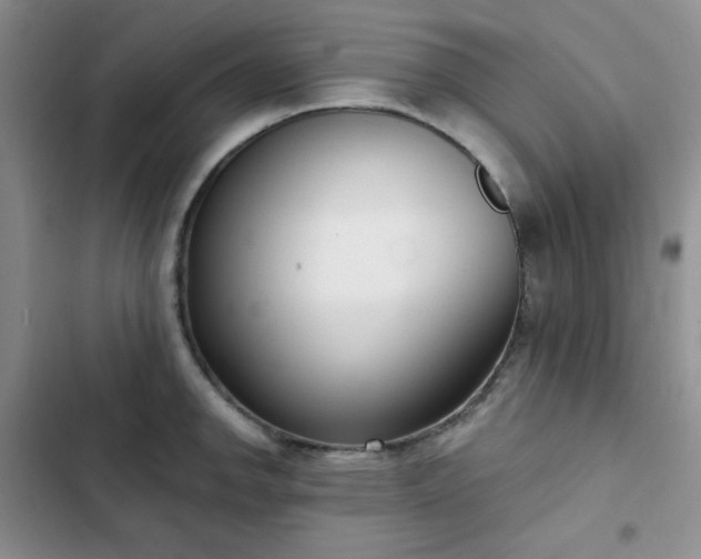X0000102851142200808251156