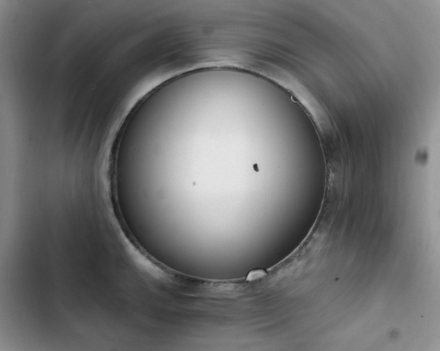 X0000102851143200808251156