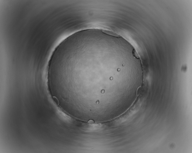 X0000102851144200808251156