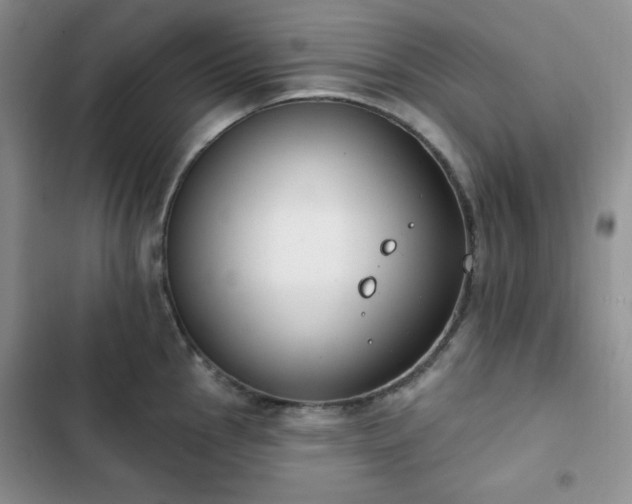 X0000102851145200808251156