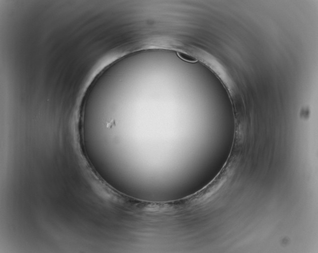 X0000102851146200808251156