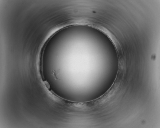 X0000102851147200808251156