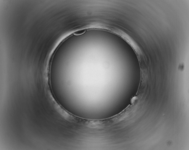 X0000102851148200808251156