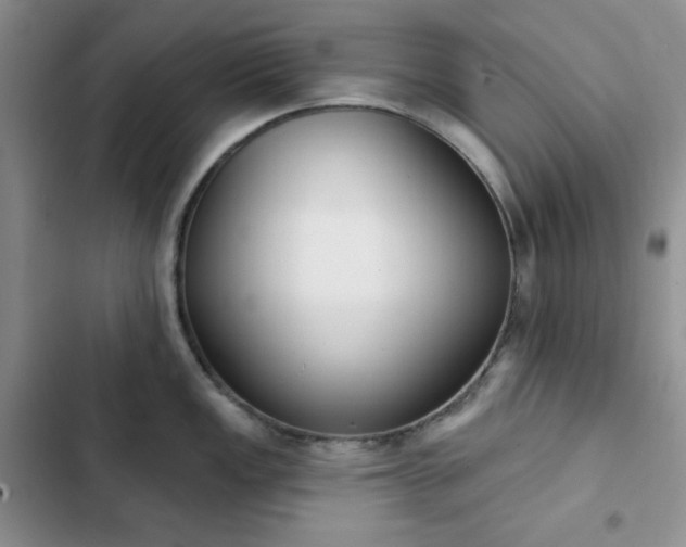 X0000102851149200808251156