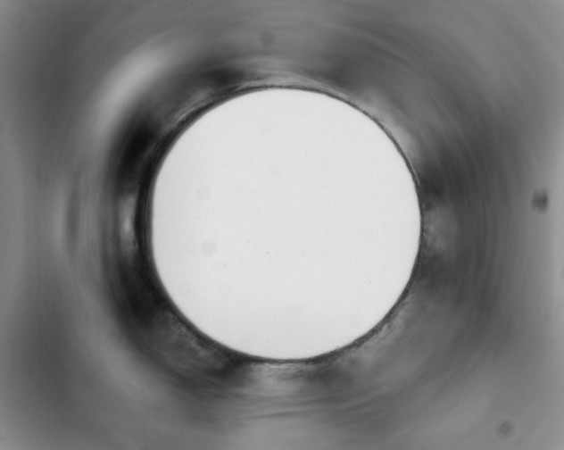 X0000102851150200808251156