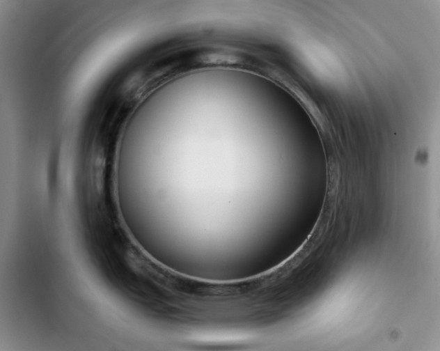 X0000102851151200808251156