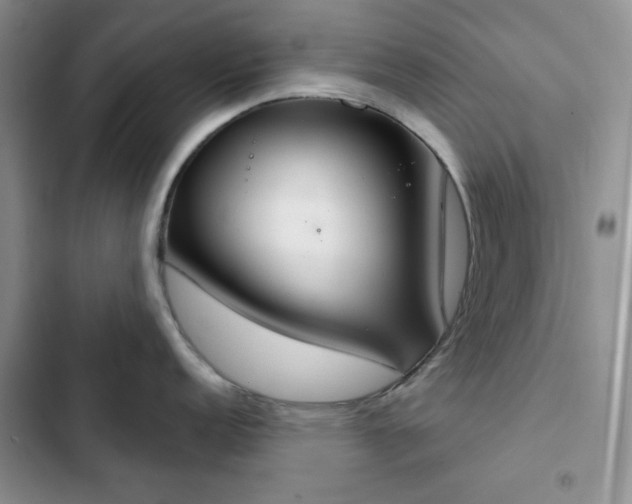 X0000102851152200808251156