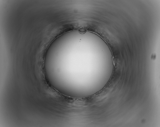 X0000102851153200808251155