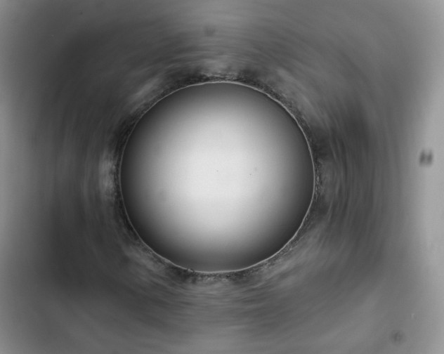 X0000102851154200808251155