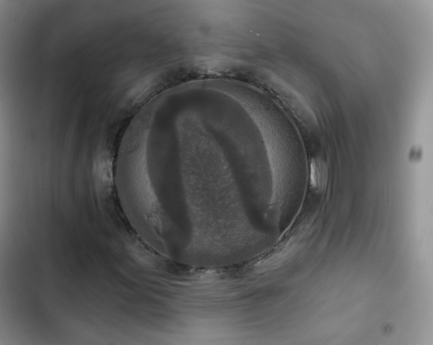 X0000102851155200808251155
