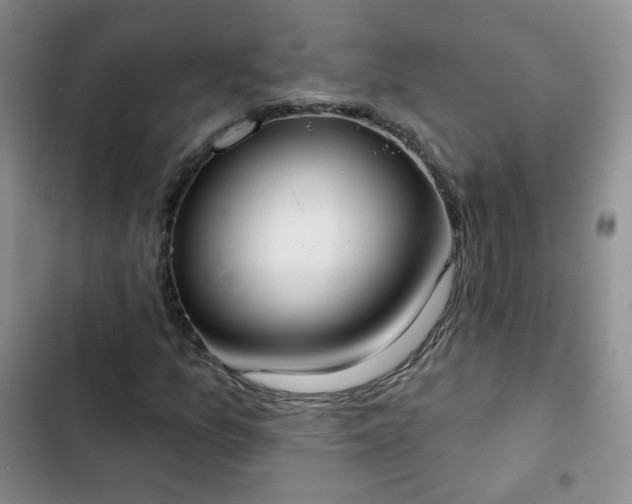 X0000102851157200808251155