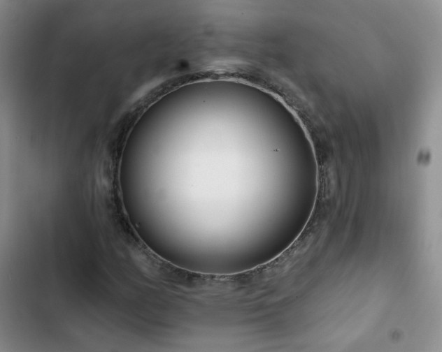 X0000102851158200808251155