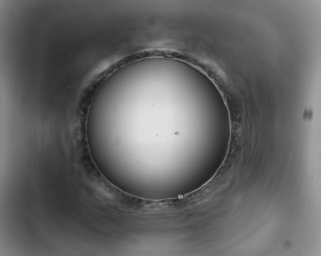 X0000102851159200808251155