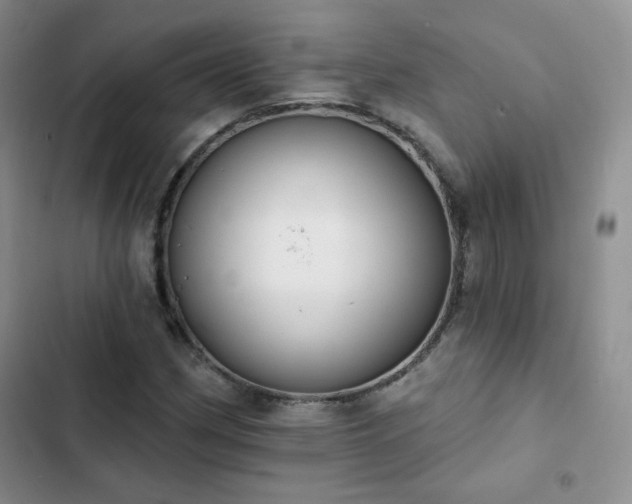 X0000102851162200808251155