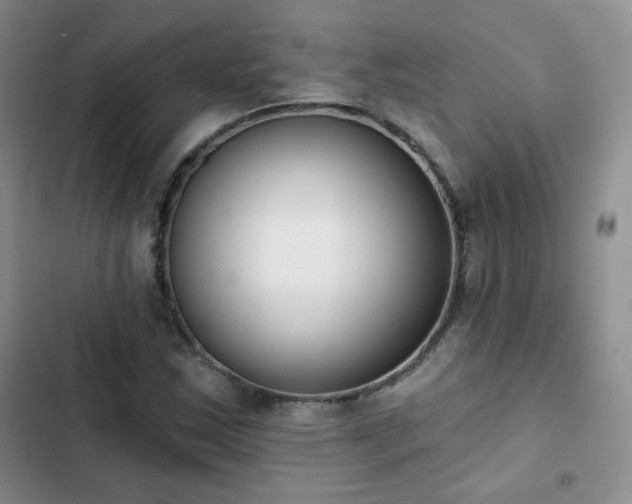 X0000102851163200808251155