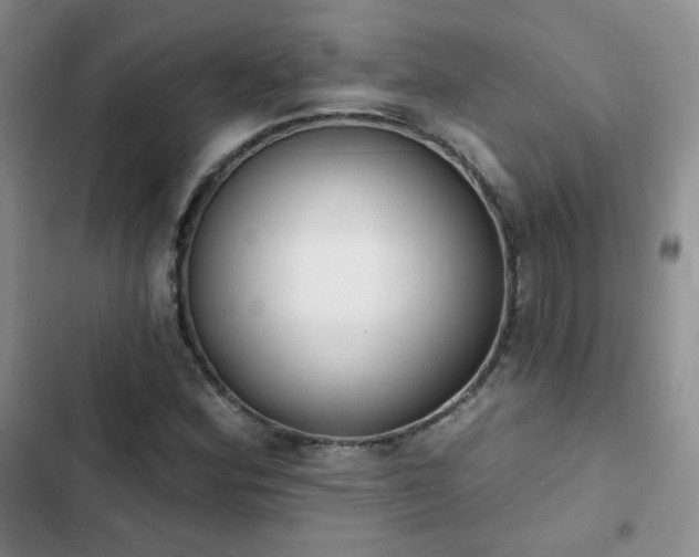 X0000102851164200808251155