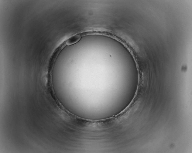 X0000102851165200808251155