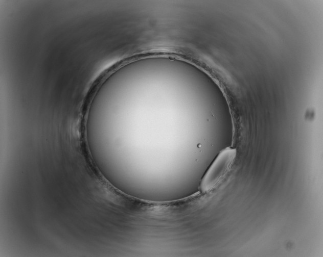 X0000102851166200808251155