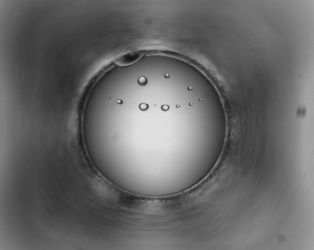 X0000102851167200808251155