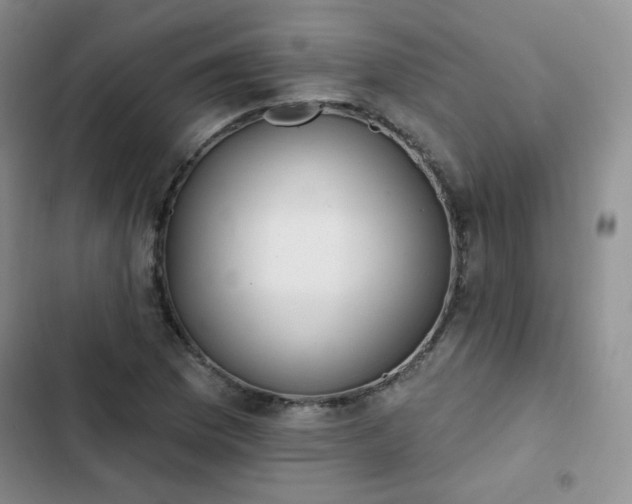 X0000102851169200808251155