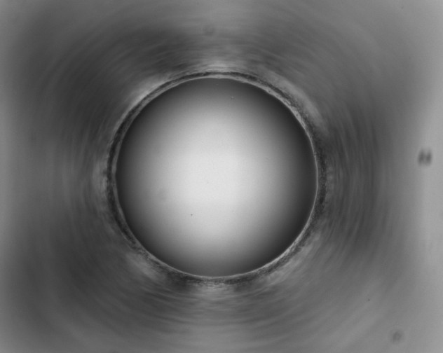 X0000102851170200808251155