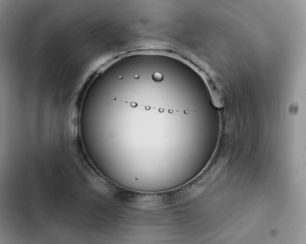 X0000102851171200808251155