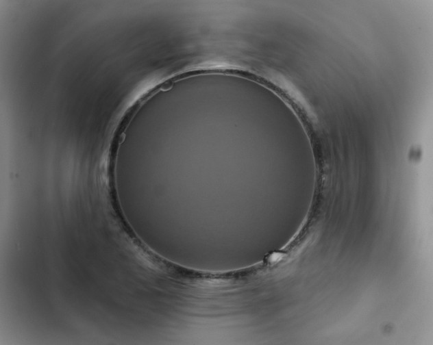 X0000102851173200808251155