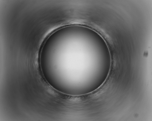 X0000102851174200808251155