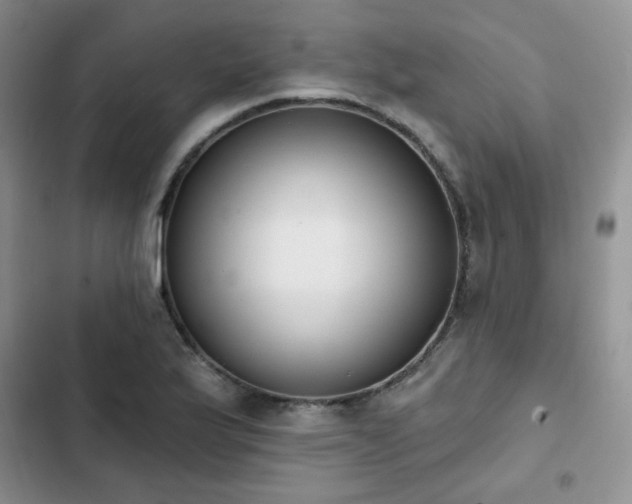 X0000102851175200808251155