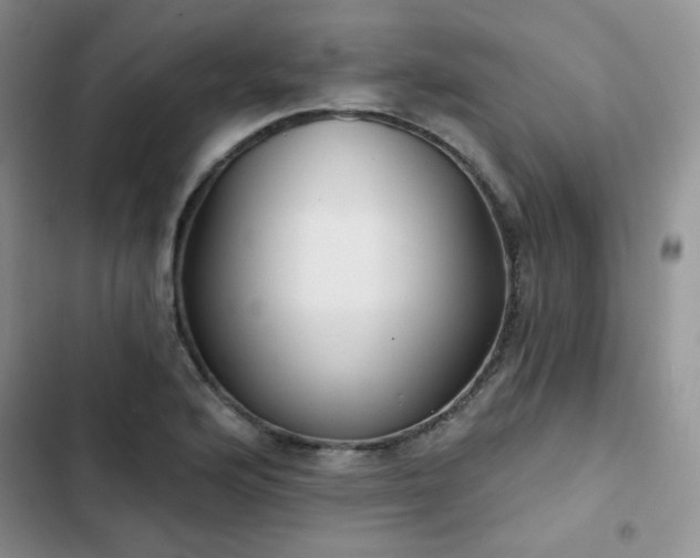X0000102851176200808251155