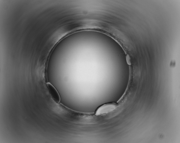 X0000102851177200808251155
