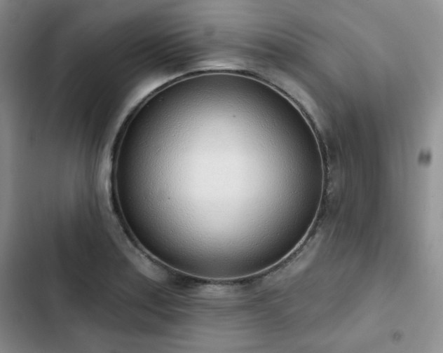 X0000102851179200808251155