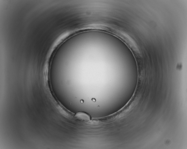 X0000102851180200808251155