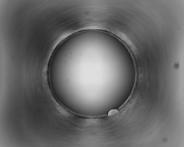 X0000102851181200808251155